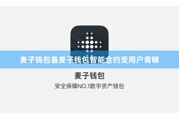 麦子钱包备麦子钱包智能合约受用户青睐