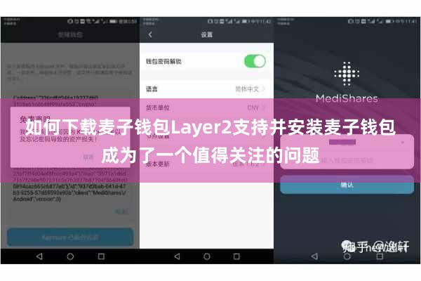 如何下载麦子钱包Layer2支持并安装麦子钱包成为了一个值得关注的问题