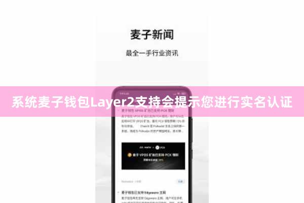 系统麦子钱包Layer2支持会提示您进行实名认证