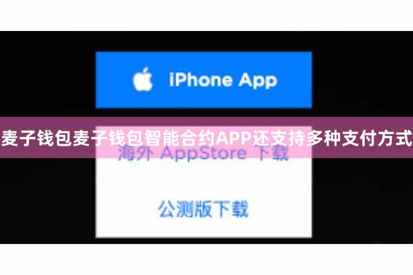 麦子钱包麦子钱包智能合约APP还支持多种支付方式