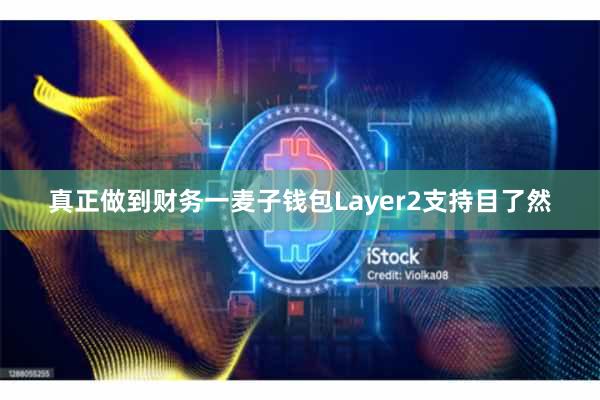 真正做到财务一麦子钱包Layer2支持目了然