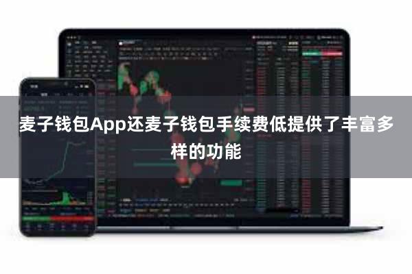 麦子钱包App还麦子钱包手续费低提供了丰富多样的功能