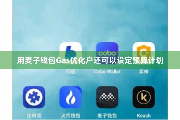 用麦子钱包Gas优化户还可以设定预算计划
