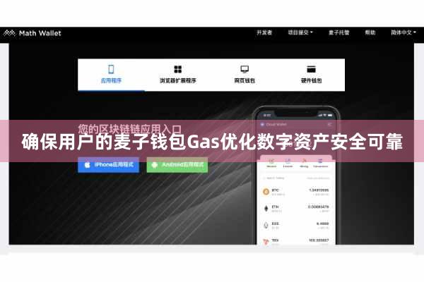 确保用户的麦子钱包Gas优化数字资产安全可靠