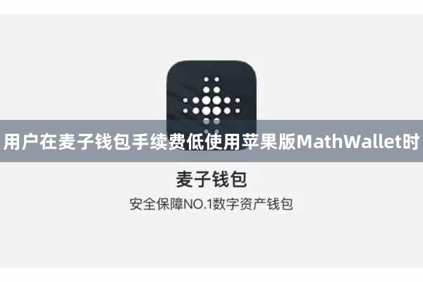 用户在麦子钱包手续费低使用苹果版MathWallet时