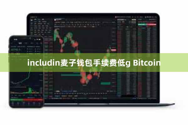 includin麦子钱包手续费低g Bitcoin