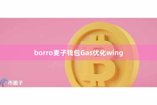 borro麦子钱包Gas优化wing