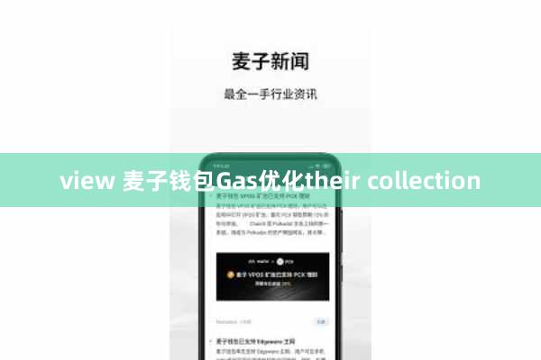 view 麦子钱包Gas优化their collection