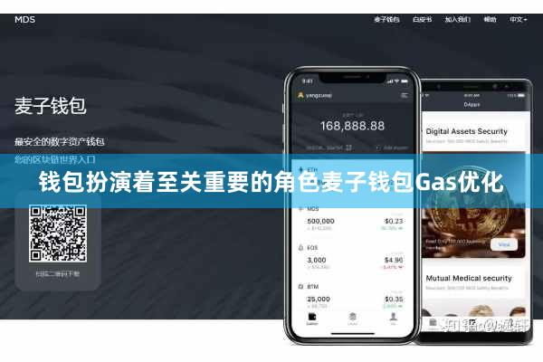 钱包扮演着至关重要的角色麦子钱包Gas优化