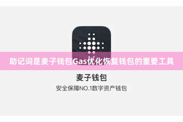 助记词是麦子钱包Gas优化恢复钱包的重要工具