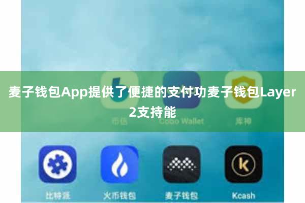 麦子钱包App提供了便捷的支付功麦子钱包Layer2支持能