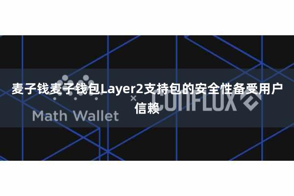 麦子钱麦子钱包Layer2支持包的安全性备受用户信赖