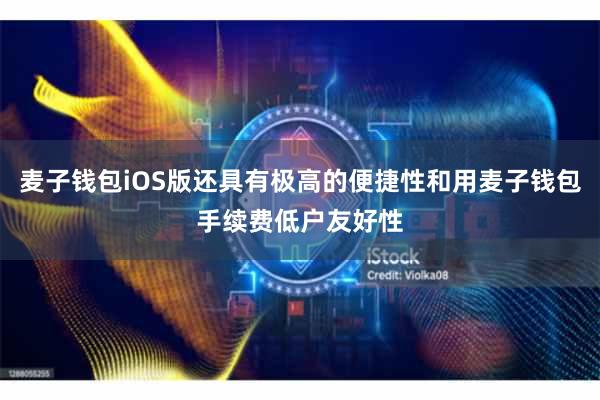 麦子钱包iOS版还具有极高的便捷性和用麦子钱包手续费低户友好性